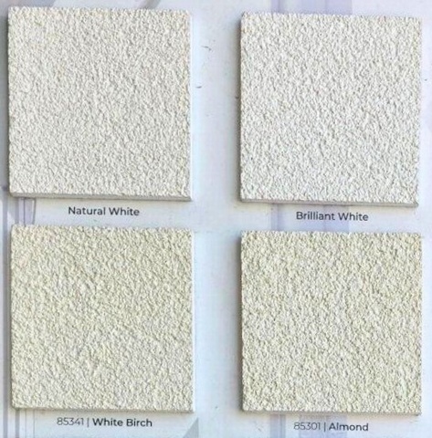 Silancolor Pittura Paint Zero 5KG